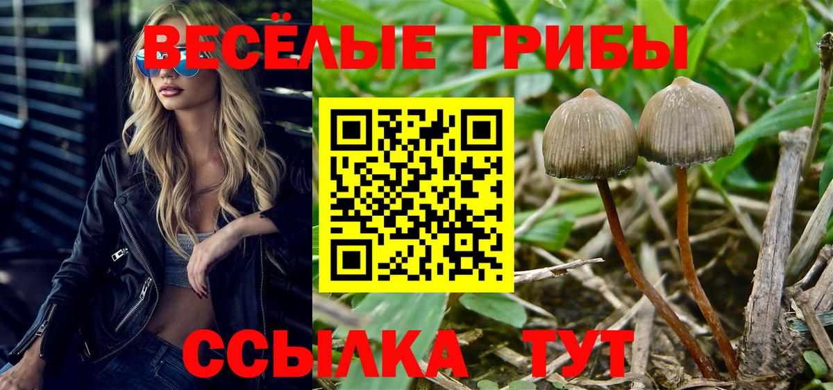 Галлюциногенные грибы мицелий Каменск-Уральский