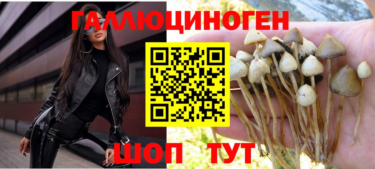 Псилоцибиновые грибы MAGIC MUSHROOMS  Вход с VPN  Каменск-Уральский 